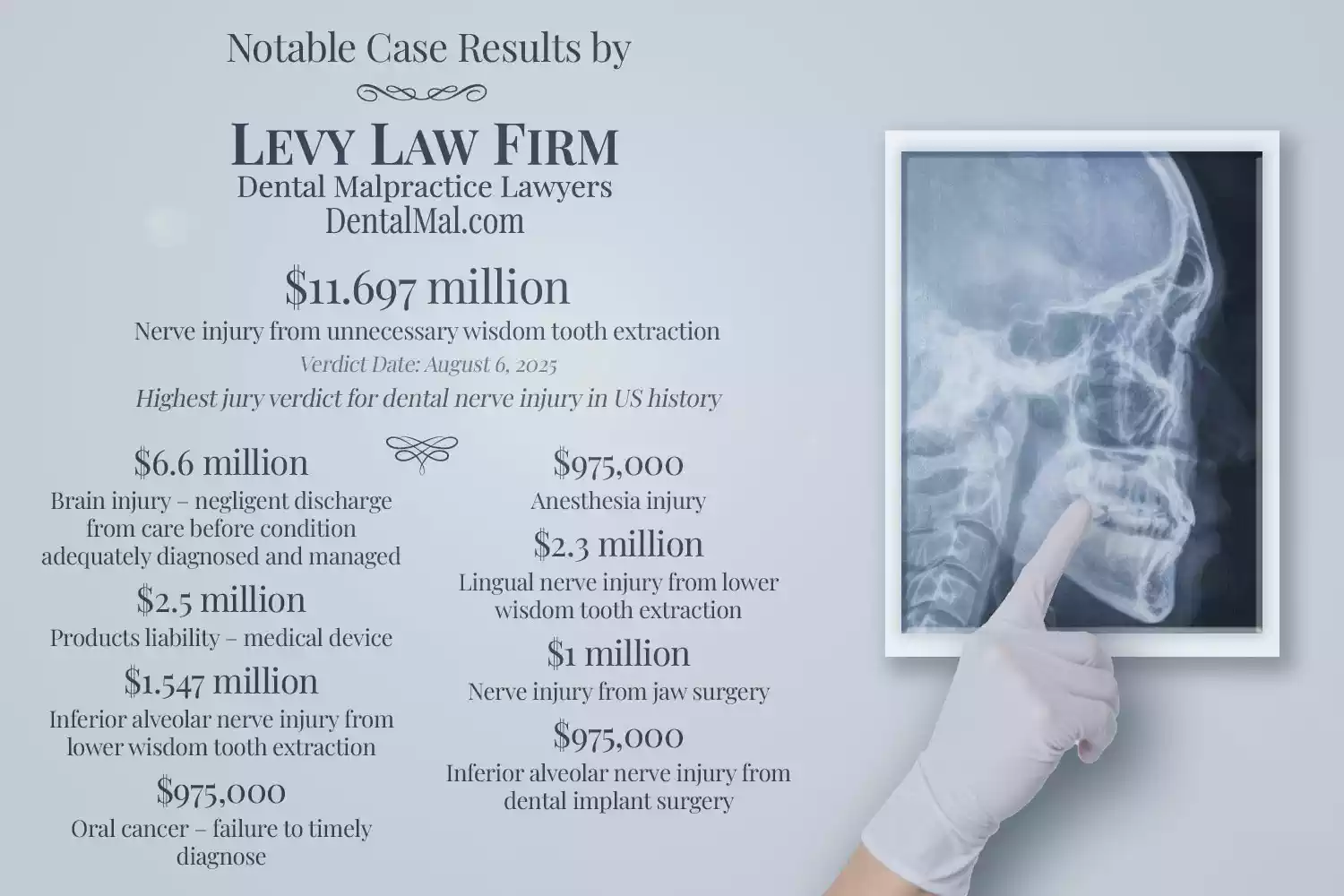 Notable case results by Levy Law Firm